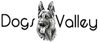 DOGS VALLEY